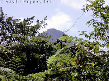 Another Volcano in Martinique