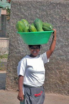 Lady Selling Papayas