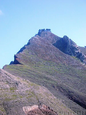 The Cliffs of Pico Branco