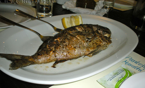 The Grilled Fish